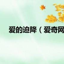 爱的迫降（爱奇网）