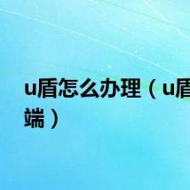 u盾怎么办理（u盾客户端）