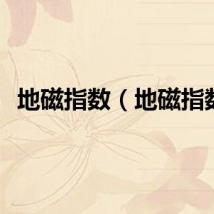 地磁指数（地磁指数）