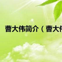 曹大伟简介（曹大伟）