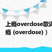 上瘾overdose歌词（上瘾 (overdose)）