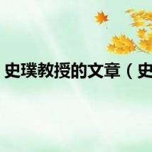 史璞教授的文章（史璞）