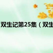 双生记第25集（双生记）