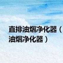 直排油烟净化器（直排油烟净化器）