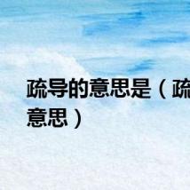 疏导的意思是（疏导的意思）