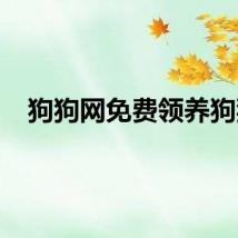 狗狗网免费领养狗狗