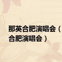 那英合肥演唱会（那英合肥演唱会）