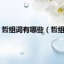 哲组词有哪些（哲组词）