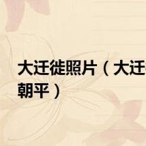 大迁徙照片（大迁徙 谢朝平）