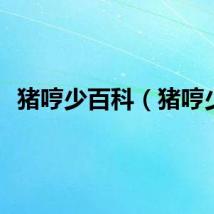 猪哼少百科（猪哼少）