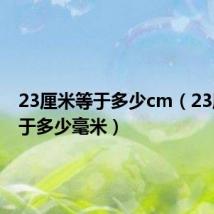 23厘米等于多少cm（23厘米等于多少毫米）