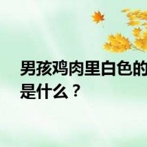 男孩鸡肉里白色的东西是什么？
