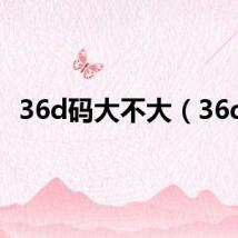 36d码大不大（36dj）