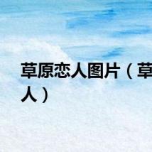 草原恋人图片（草原恋人）