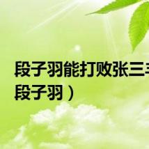 段子羽能打败张三丰吗（段子羽）