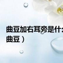 曲豆加右耳旁是什么字（曲豆）