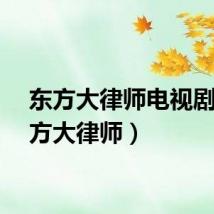东方大律师电视剧（东方大律师）