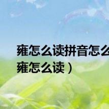 雍怎么读拼音怎么写（雍怎么读）