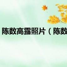 陈数高露照片（陈数吧）