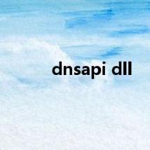 dnsapi dll