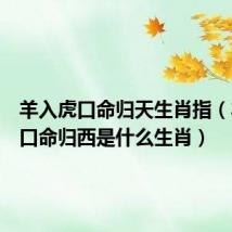 羊入虎口命归天生肖指（羊入虎口命归西是什么生肖）