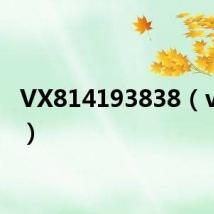 VX814193838（vx818）