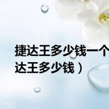 捷达王多少钱一个（捷达王多少钱）