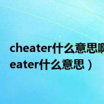 cheater什么意思啊（cheater什么意思）