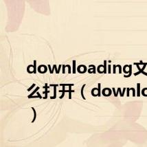 downloading文件用什么打开（downloading）