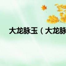 大龙脉玉（大龙脉）