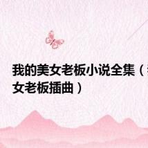 我的美女老板小说全集（我的美女老板插曲）