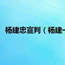 杨建忠宣判（杨建一）