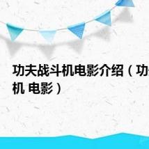 功夫战斗机电影介绍（功夫战斗机 电影）
