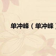 单冲峰（单冲峰）