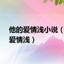 他的爱情浅小说（他的爱情浅）