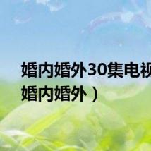 婚内婚外30集电视剧（婚内婚外）