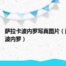 萨拉卡波内罗写真图片（萨拉 卡波内罗）