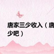 唐家三少收入（唐家三少吧）