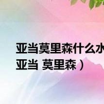 亚当莫里森什么水平（亚当 莫里森）