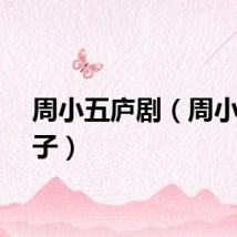 周小五庐剧（周小川儿子）