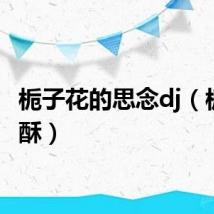 栀子花的思念dj（栀香如酥）