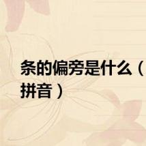 条的偏旁是什么（条的拼音）