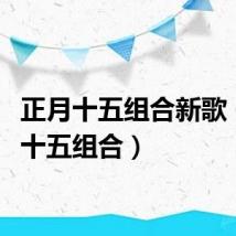 正月十五组合新歌（正月十五组合）