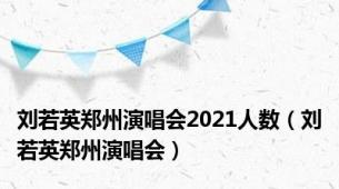 刘若英郑州演唱会2021人数（刘若英郑州演唱会）