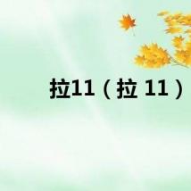 拉11（拉 11）
