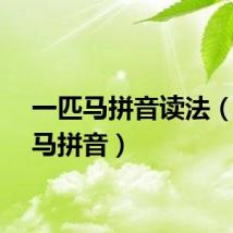 一匹马拼音读法（一匹马拼音）