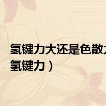 氢键力大还是色散力大（氢键力）