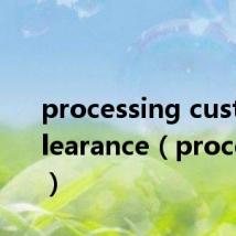 processing customs clearance(processing)