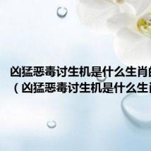 凶猛恶毒讨生机是什么生肖的动物?（凶猛恶毒讨生机是什么生肖）