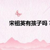 宋祖英有孩子吗？